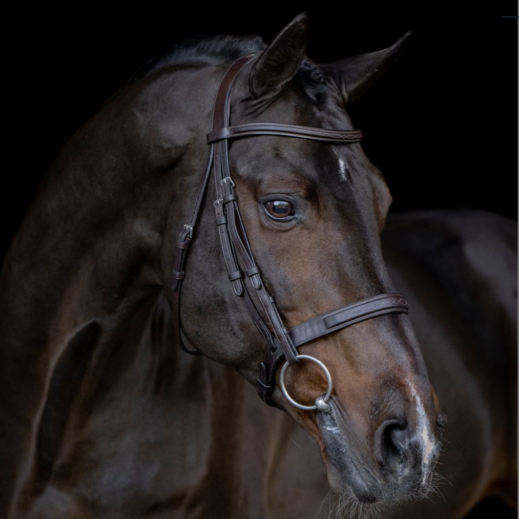 Balou du Reventon Z Image