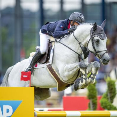 Vangog du Mas Garnier Image