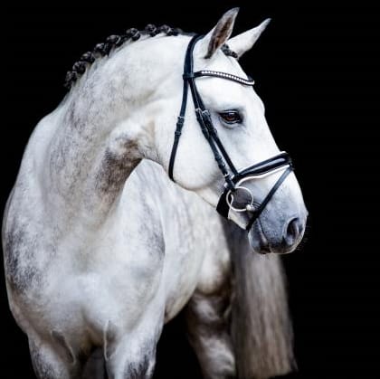 Nairobi de Muze Image