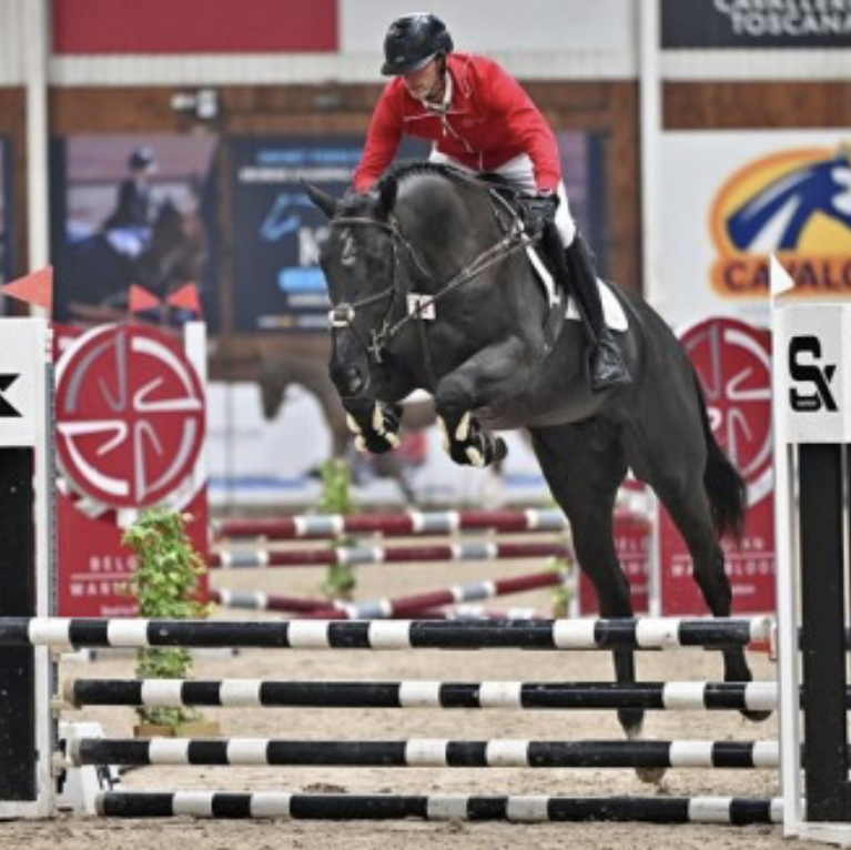 Amazing Star de Muze Image