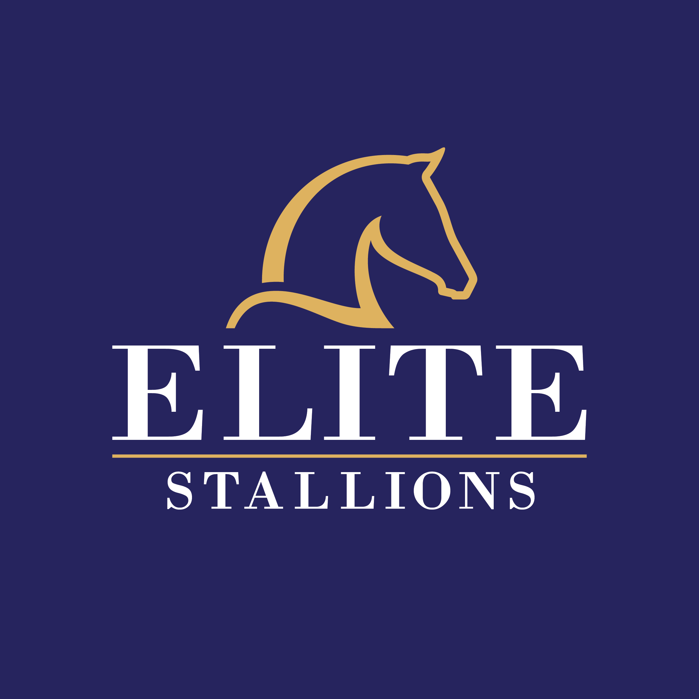 Elite Stallions Stallions Elite Stallions Stallions